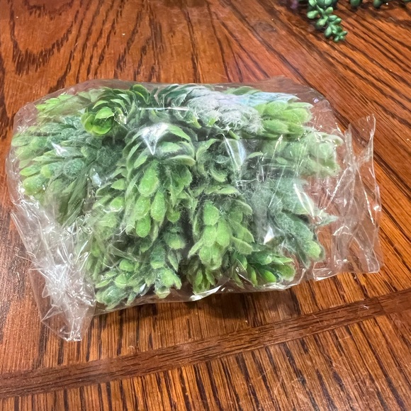 Faux Succulents - Green 16 pcs - Picture 9 of 16